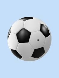 详解棒球规则中的观众干扰判罚当球迷在界外区直接抢夺活球